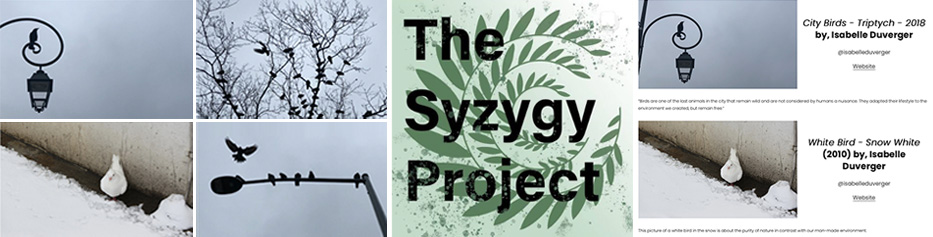 Syzygy project City Birds and White Bird