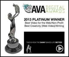 Ava digital awards 2013 how shiny makes life better