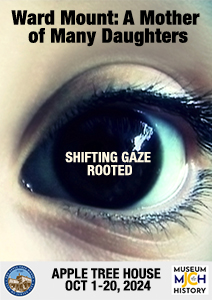 Shifting Gaze Georgetown Glow 2015