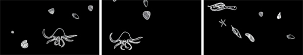Mapping Mobius Animations plankton